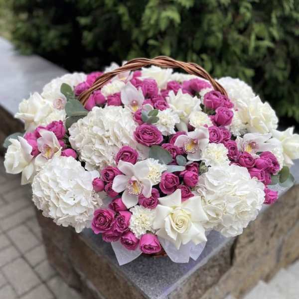 № 11 - The Photo Shows The Premium Size.