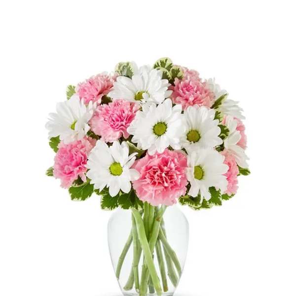 Pink carnations and white daisies in a clear glass vase