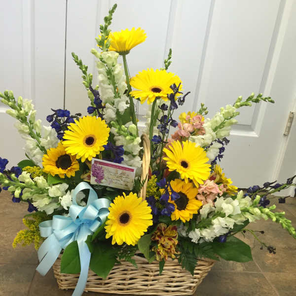Basket arrangement with yellow gerbera daisies and blue ribbon
