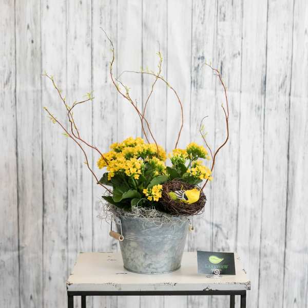 Yellow flowering plant in a metal bucket with twigs and a bird nest accent on a small table