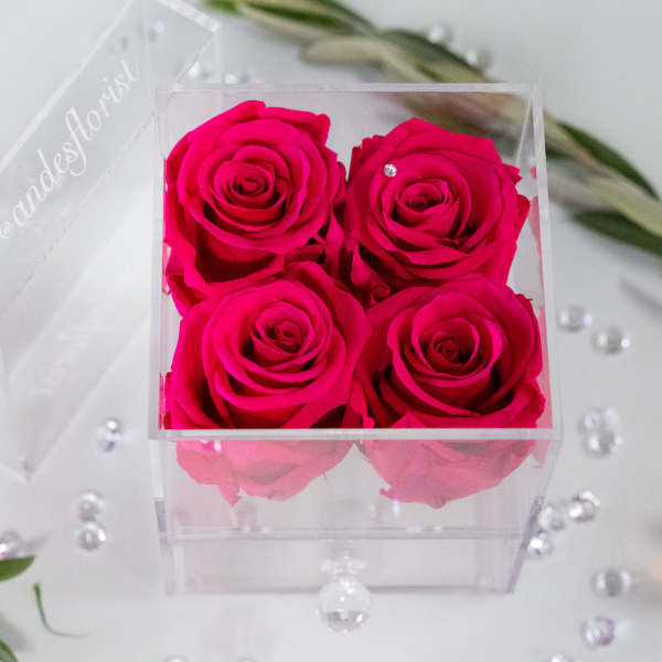 Four hot pink roses in a clear acrylic box