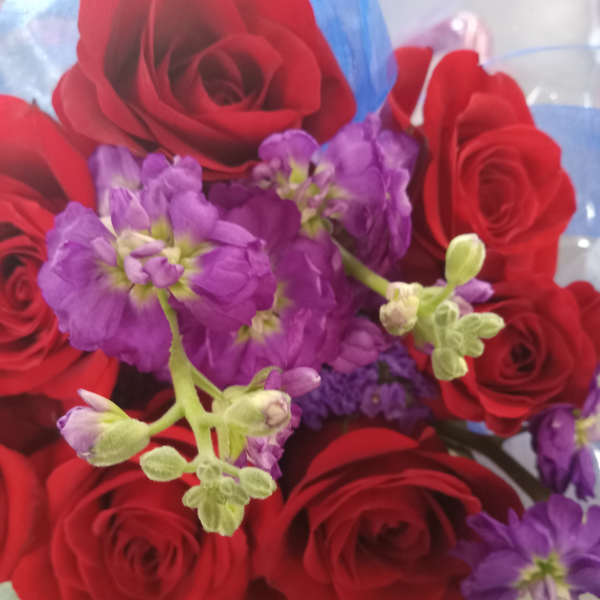 Bouquet of red roses and purple flowers wrapped in blue paper