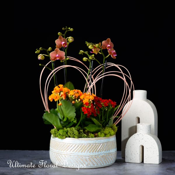 Potted orchids and orange-red flowers in a ceramic bowl with pink wire hearts