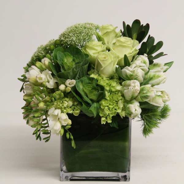 Compact arrangement of green roses and white tulips in a clear glass cube vase