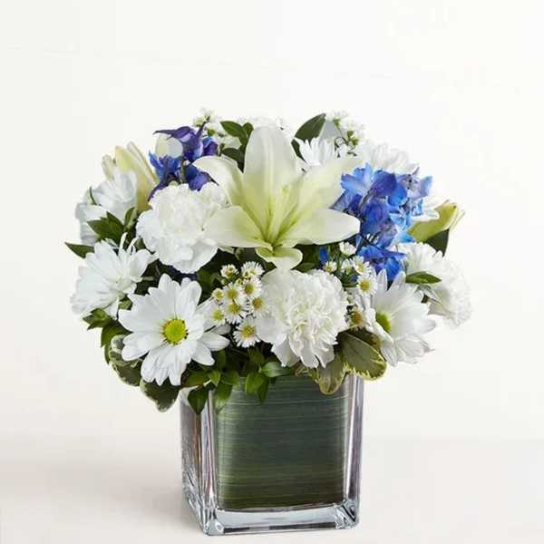 Healing Tears Blue & White