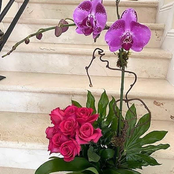 Tall orchid and hot pink rose arrangement in a white pot with lush foliage