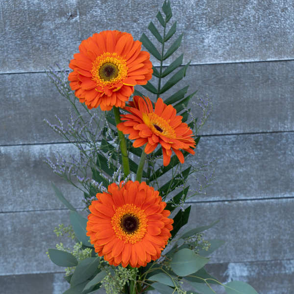 3 orange gerbera daisy bud vase