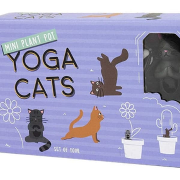 Mini Plant Pot Yoga Cats
