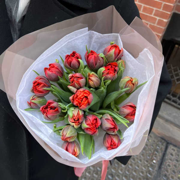 #99 Tinted Tangerine