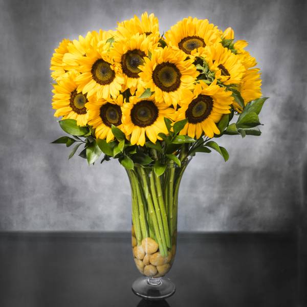 Tall clear vase filled with bright yellow sunflowers and river stones