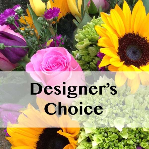 Designers Choice