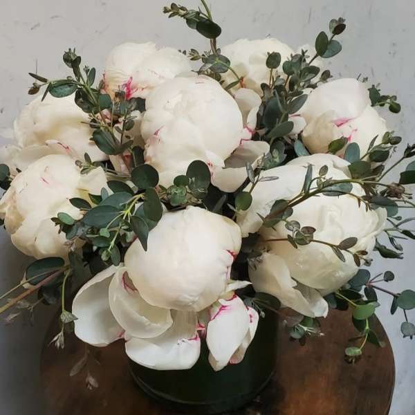 White peony bouquet with eucalyptus in a dark vase