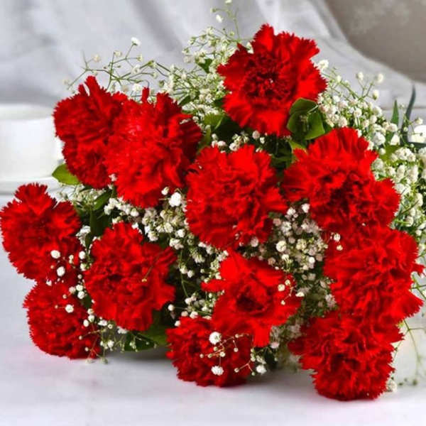 Bouquet of red carnations with white filler flowers on a white surface