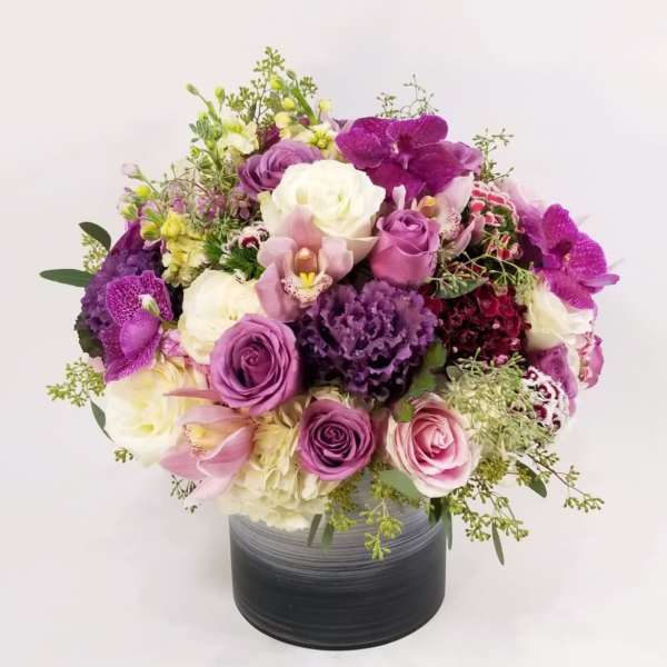 Secret purple garden