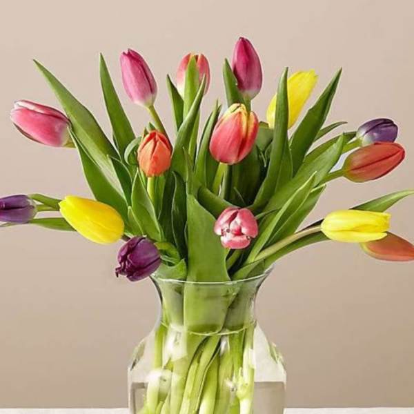 Mixed-color tulip bouquet in a clear glass vase on a light-colored surface.