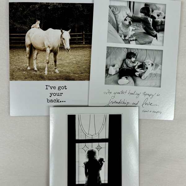 Bonair Daydreams Get Well Cards