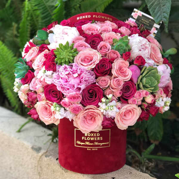 Pink and red roses arranged in a red box with succulents