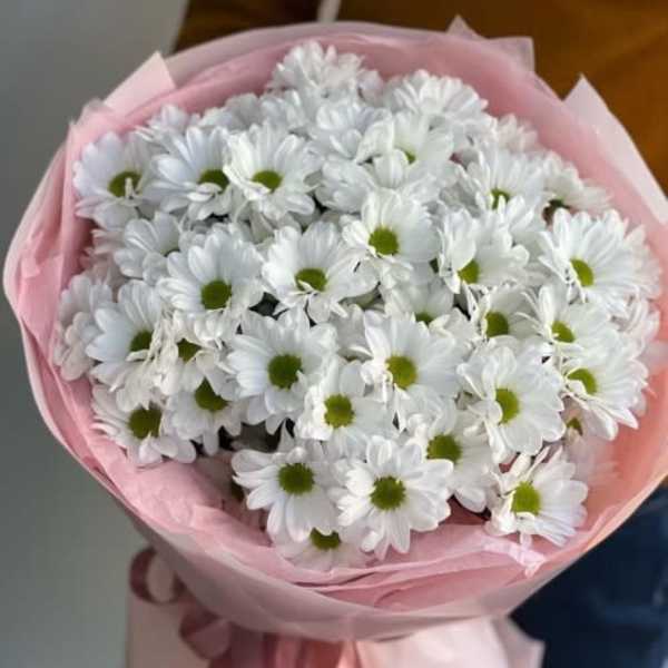 White Daisies hand bouquet with wrapping.