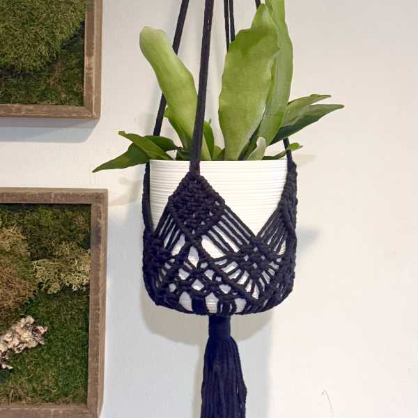 Black macrame hanger with a plant