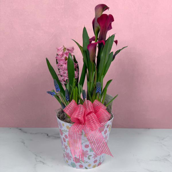 Springtime Serenade Dish Garden