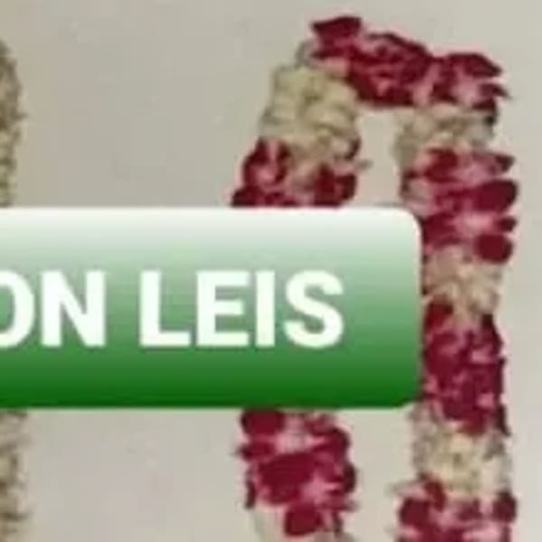 Red and white flower leis displayed with a green banner reading graduation leis