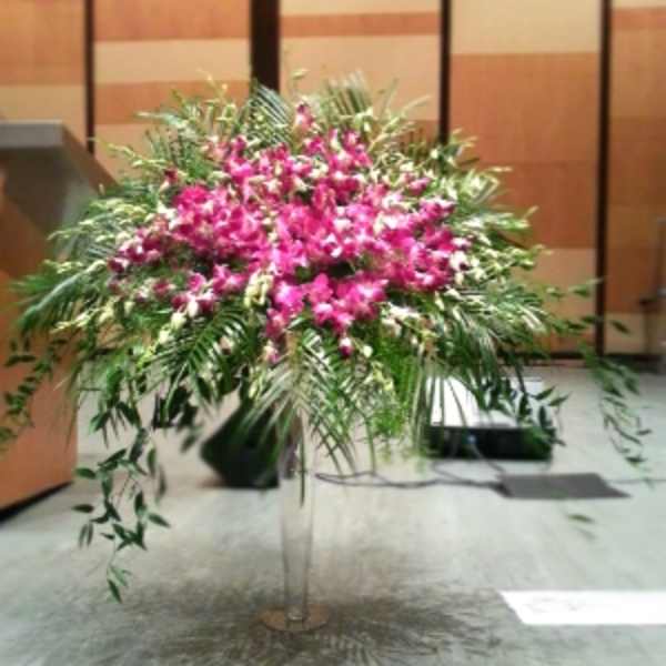 Large pink orchid arrangement with cascading greenery on a clear pedestal stand indoors