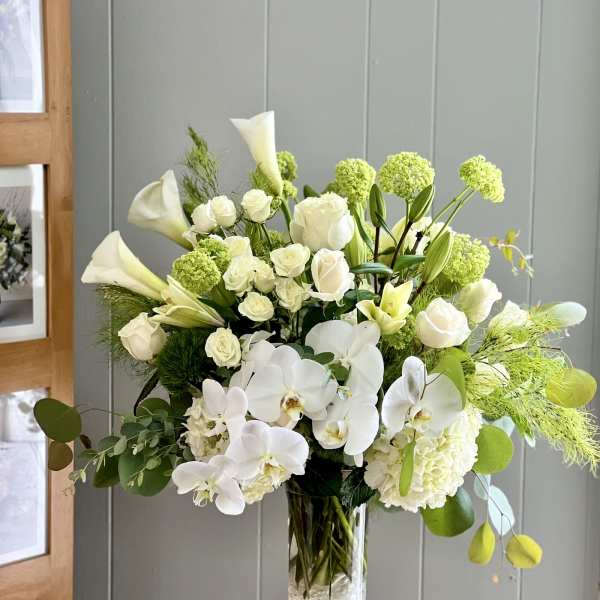 EC91 - Pure Elegance