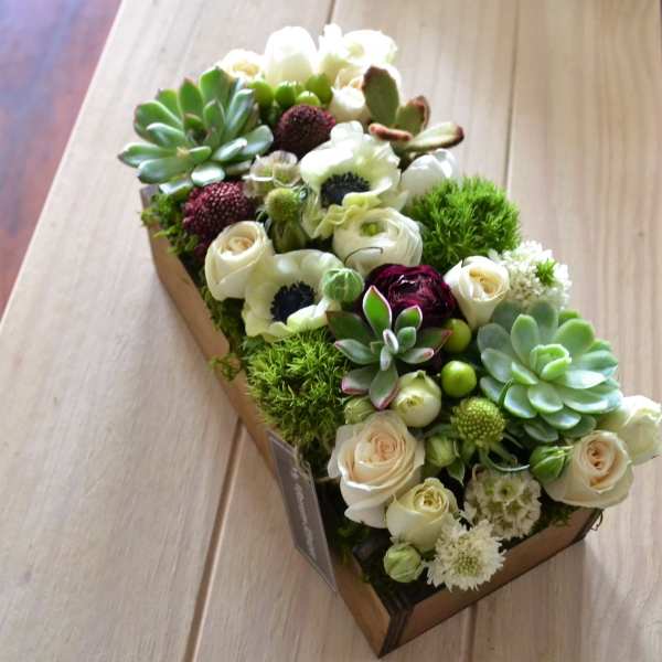 Creams & Greens - FB