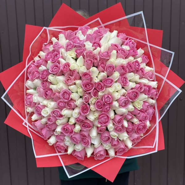 Large bouquet of pink and white roses wrapped in red paper