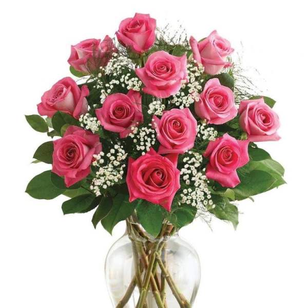 1 Dozen Hot Pink Rose Arrangement