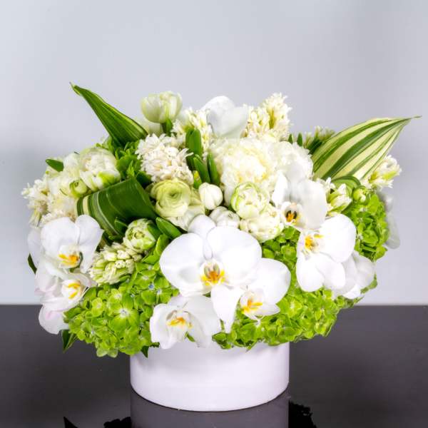 Low white and green floral arrangement with orchids and hydrangeas in a round white vase
