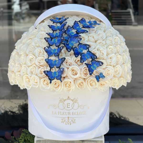White rose arrangement in a round hat box with blue butterfly decorations