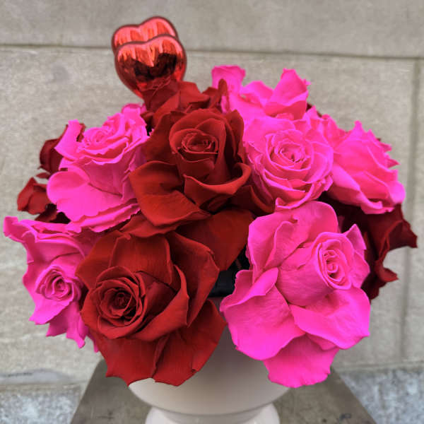 Stunning preserved Red & Hot Pink mixed roses!