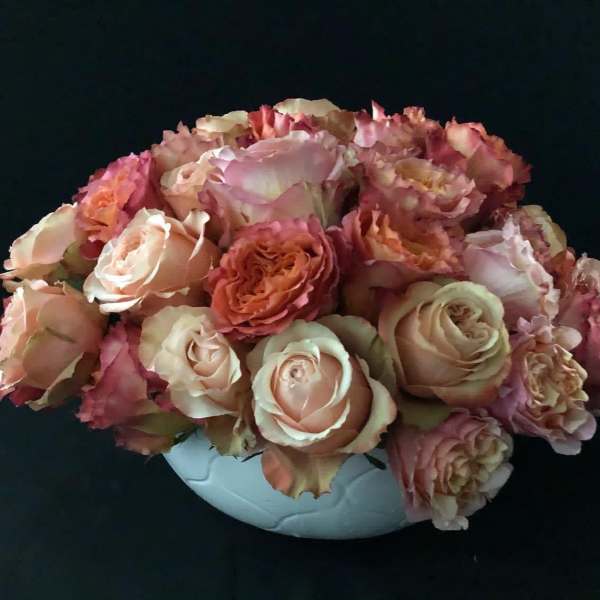 Pink and peach roses arranged in a white vase