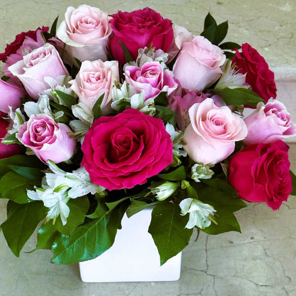 Pink and red roses arranged in a white vase