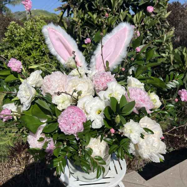Peonie Bunny