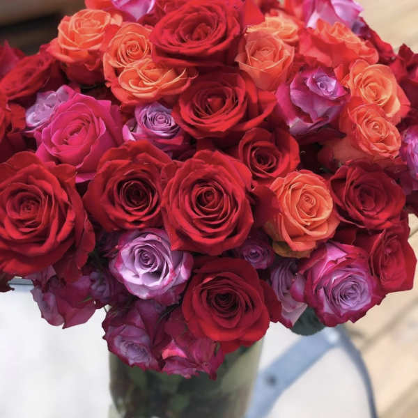 4 dozen roses in a vase