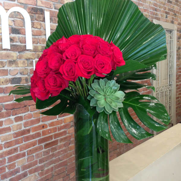 50 Premium Rich Red Roses
