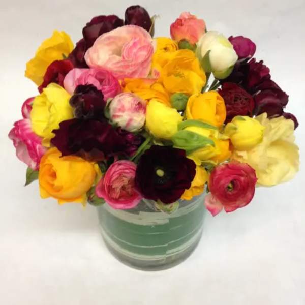 Mixed colorful ranunculus bouquet in a glass vase