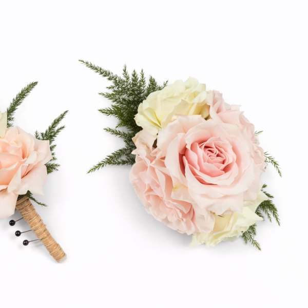 Two small rose boutonnieres with pale pink and cream blooms