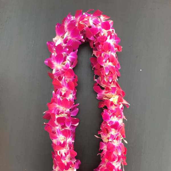 Pink orchid lei on a dark background