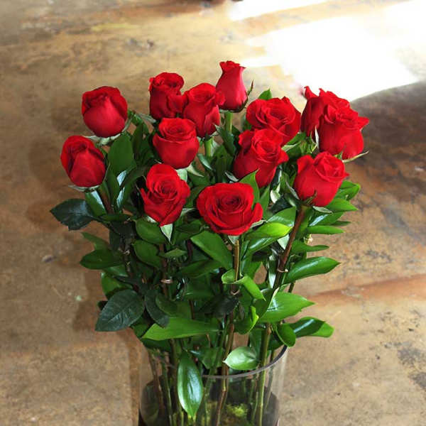 Extra-long-stem red roses in a tall glass cylinder.