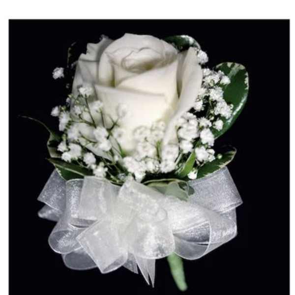 White rose corsage with baby's breath and sheer white ribbon bow on a black background.