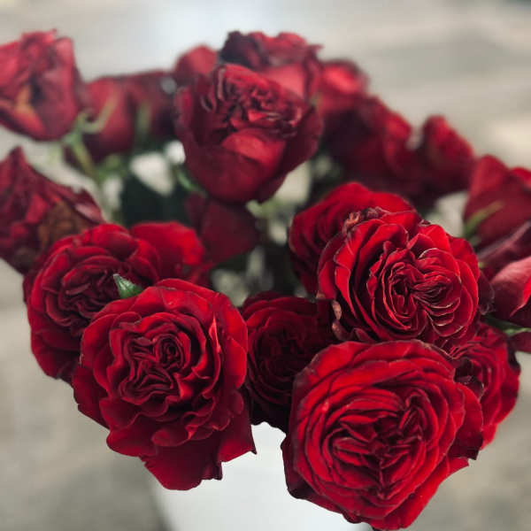 1 Dozen You Pick Fresh Cut Roses