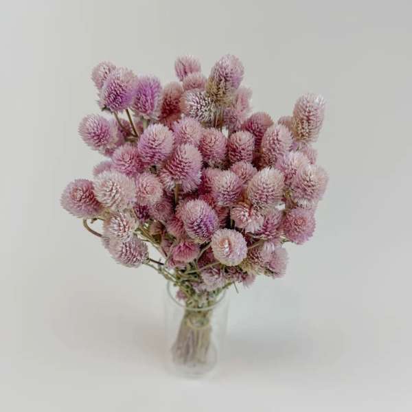 Dried Flower Bouquet