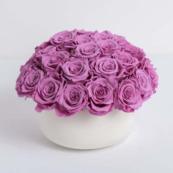 Large Lavender Preserved Roses - Lasts a full year