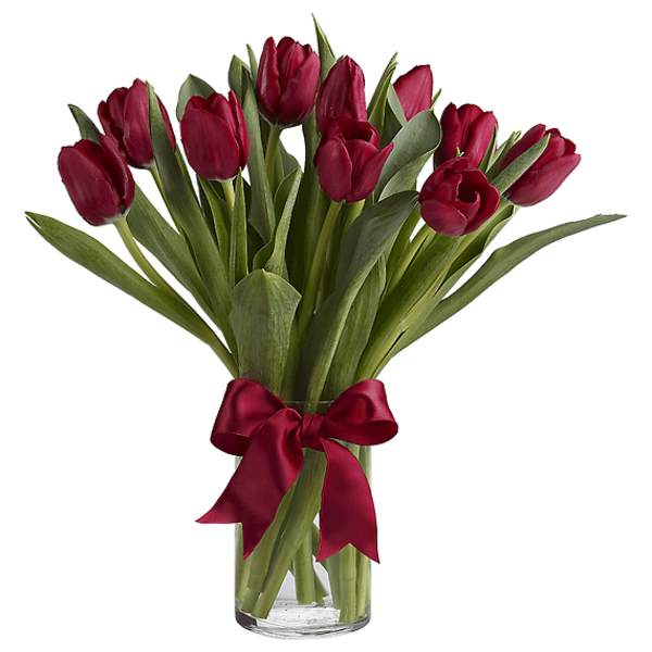 Red tulips in a clear glass vase tied with a red ribbon