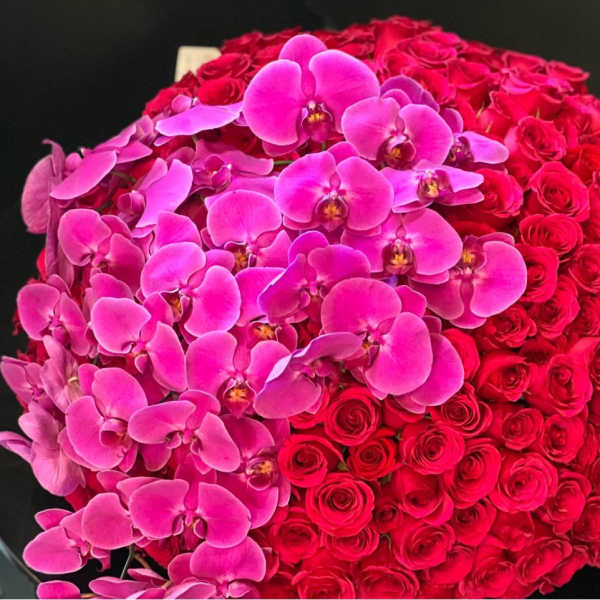 200 red roses with orchids