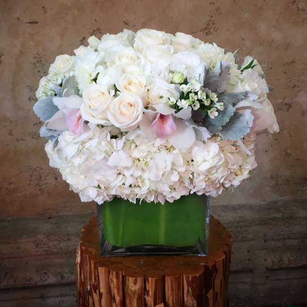 White rose and hydrangea arrangement in a square glass vase
