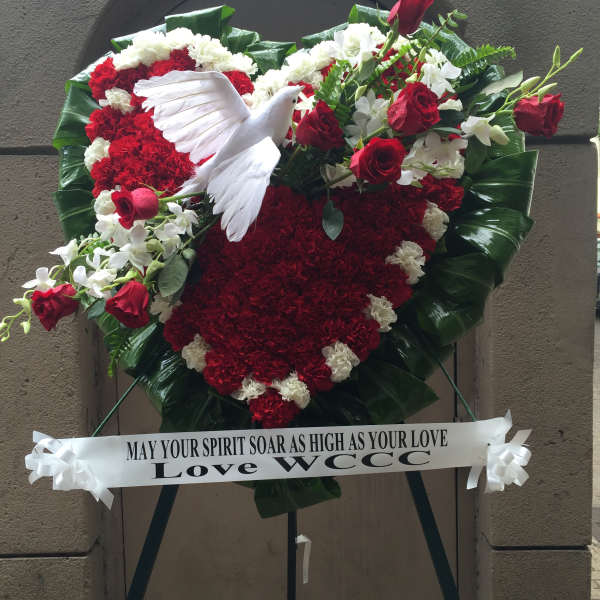 Wings of Grace - F35014